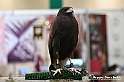 VBS_1872 - Torino Comics 2023
